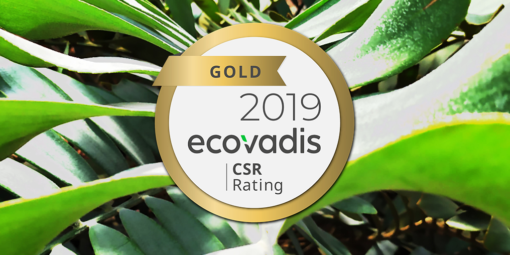ITS Group obtient à nouveau le niveau Gold au classement Ecovadis