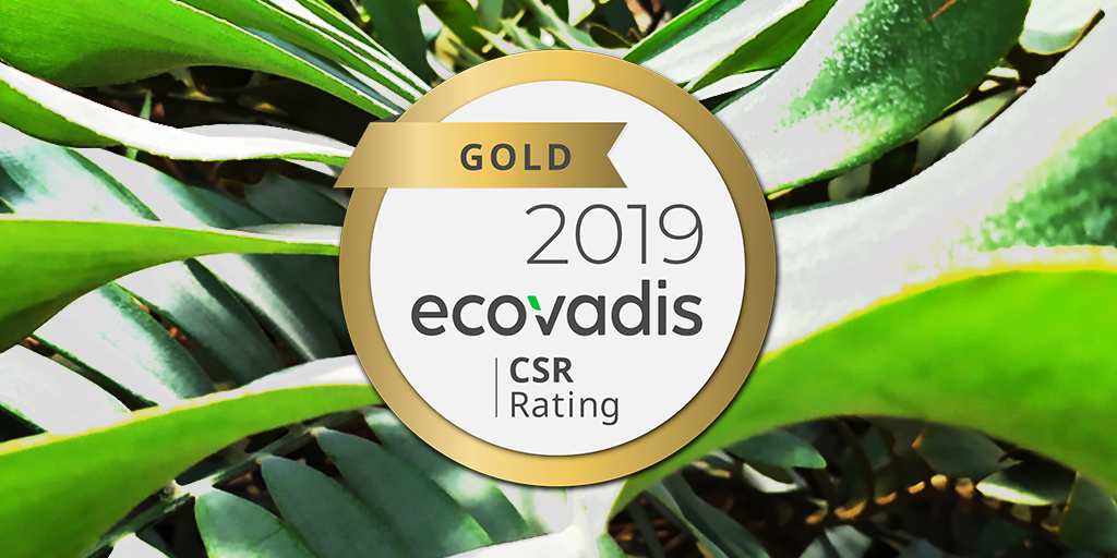 ITS Group obtains the Gold level in the Ecovadis ranking