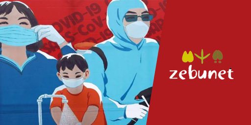 ITS Group supports Vietnam via the Zebunet association