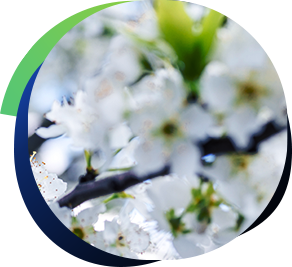 RSE_Environnemental