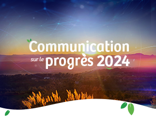 COP2024
