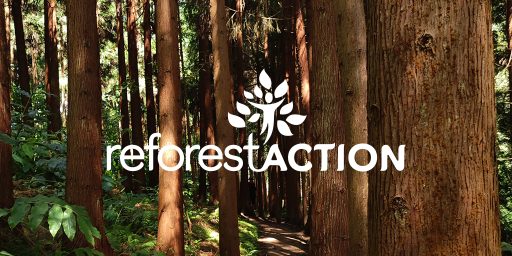 ITS Group soutient Reforest’Action