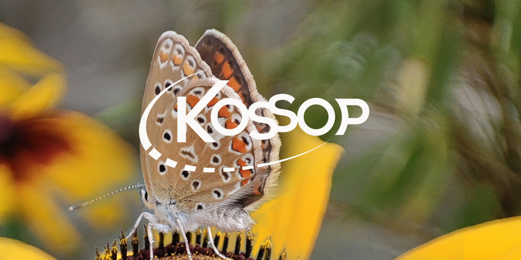 engKossop
