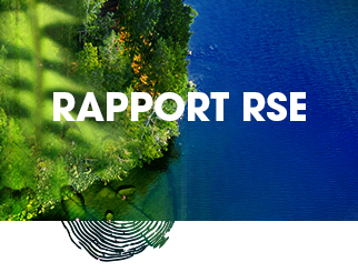 rapportRSE
